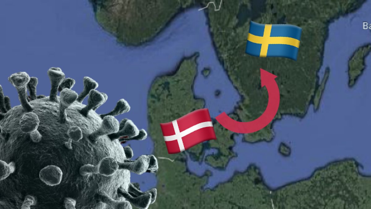 Danskarna kan ha fört över smittan till Sverige, visar ny forskning.
